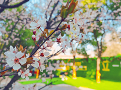 【春色入園】一起來武漢新華探尋早春里的美好！
